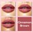 Jaquline USA: Color Me Matte Liquid Lipstick 5ml Cinnamon Brown