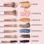 Renee Cosmetics: All In 1 Professional Makeup Brush Set of 6
