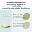 Numbuzin: No.1 Centella Re-Leaf Green Toner Pad  190ml