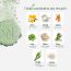 Wellbeing Nutrition: Daily Greens, Organic Wholefood Multivitamin - 15 Tabs