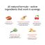 Wellbeing Nutrition: Multivitamin Melts - 30 Oral Strips