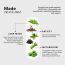 Wellbeing Nutrition: Burn with Capsimax™, Garcinia, Chromium & Liquid L-Carnitine | 60 Veg Caps