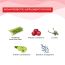Wellbeing Nutrition: Frozen Olaf Melts | Kids Organic Active Probiotic & Prebiotic, Vitamin C & D3 - Sweet Cherry Flavor (30 Oral Thin Strips)