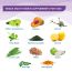 Wellbeing Nutrition: Frozen Elsa & Anna Melts - Kids Organic Multivitamin with Vitamin A, B-Complex, C, D and Iron - 30 Oral Thin Strips)