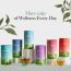 Wellbeing Nutrition: Digest Green Tea with 8B CFU, Ginger, Fennel Seeds - 40gm
