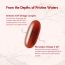 Wishnew Wellness: KRILL OMEGA COMPLEX | 60 Softgel Capsules | Full Spectrum Support for Heart & Brain Health