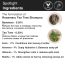 Soulflower: Soulflower Pro Vitamin B5 Rosemary Tea Tree Shampoo 200 ml