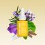 Inde Wild: AM Sunscreen Glow Drops SPF 50+