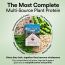 Wellbeing Nutrition: Organic Vegan Plant Protein Isolate Powder  22g Protein, 5g BCAA  No Bloating  Easy to Digest  Antioxidants & Trace Minerals  Canadian Mixed Berry - 500gm