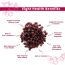 Fabeato: Premium Dried Cranberries 250g - Cranberry, Healthy Snack for kids and adults - Sweet Sliced Cranberries Rich in Antioxidants & Fiber - No Preservatives