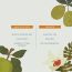 Juicy Chemistry: Tamanu & Kakadu Plum Face Wash, 100 ml | Antioxidant-rich Face Wash for Pigmented and Dull Skin - Certified Organic & Clinically Tested - For Normal, Oily & Combination Skin Type
