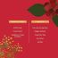 Juicy Chemistry: Regenerating Serum, 30 ml, for Anti-Ageing and Mature Skin - Certified Natural Face Serum with Mountain Pepperberry & Sea Fennel, Fights Skin Aging, For Youthful Skin