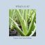 Juicy Chemistry: Aloe Vera Face Toner, 110ml | For Soothing, Calming Sensitive & Sun Damaged Skin | Made with 100% Pure Aloe Vera & 100% Certified Organic Mist Spray for Men and Women | Cruelty Free, Vegan