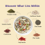 Nourish You: Antioxidant Boost 7 in 1 Super Seed Mix - 100g ( Sunflower seeds, chia seeds, flax seeds, sesame seeds, pumpkin seeds, cranberries, and goji berries )