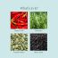 Juicy Chemistry: Chilli, Horsetail & Blackseed Hair Growth Oil, 30 ml | Enriched with Rosemary Oil & Kalonji Oil to Control Hair Fall | Clinically Proven Hair Growth Oil with Natural DHT Blockers for Men & Women | For Healthy Hair, Scalp Nourishment & Hair Regrowth | Der