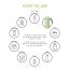 By Wishtrend: Green Tea & Enzyme Powder Wash