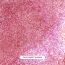 Focallure: L12 Glisten Opal Hydrating Lip Balm-PK03 Sweet Karma