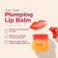 Frudia: Pomegranate Honey 3 in 1 Lip Balm
