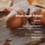 Skinfood: Acorn Pore Peptide Pad260G
