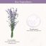 Skinfood: Lavender Food Mask120Ml