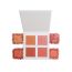 Revolution Pro: Blush Palette Peach