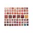 XX Revolution: SHADOW PALETTE XXPLOSION