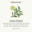 Skinfood: Lemon Verbena Body Wash 450ml