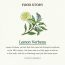 Skinfood: Lemon Verbena Body Lotion 450ml