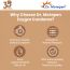 Dr. Morepen: Exygra Chocolate Flavoured Condom - Pack of 10