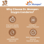 Dr. Morepen: Exygra Chocolate Flavoured Condom - Pack of 10