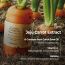 Skinfood: CARROT CAROTENE DAILY MASK