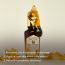 Skinfood: Royal Honey Propolis Enrich Essence - 50ml
