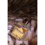 Seoulique: Nameless Gangster - EDP for Men 50ml
