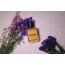 Seoulique: Lady Vengeance 100ml - EDP for Women 100ml