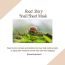 Orjena: Natural Moisture Snail Mask Sheet 23ml