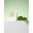 Rovectin: Calming Lotus Cream 60ml