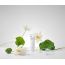 Rovectin: Calming Lotus Cream 60ml