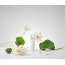Rovectin: Calming Lotus Cream 60ml