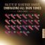 Lakme: Forever Matte Liquid Lip