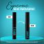 Lakme: 9 to 5 Eyeconic Liquid Eyeliner