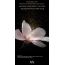 Nexxus: Promend Resurrection Hair Oil-In-Serum 100ml