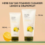 The Face Shop: Herbday 365 Masterblending Foaming Cleanser Lemon (100ml)