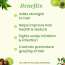VITMINVEDA: Pure Tea Tree Shampoo 200ml
