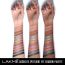Lakme: Glitterati Chroma Chic Eye Shadow