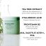 The Face Shop: Tea Tree Toner Pads - 150ml