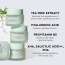 The Face Shop: Tea Tree Pore Cream - 50ml
