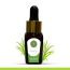 Luxuriate: Citronella Essential Oil - 10ml