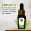 Luxuriate: Citronella Essential Oil - 10ml