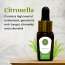Luxuriate: Citronella Essential Oil - 10ml