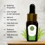Luxuriate: Citronella Essential Oil - 10ml